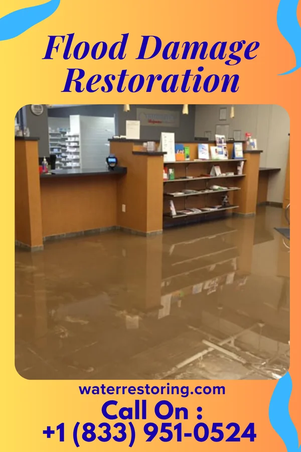 Flood Damage Restoration in Martin, SD