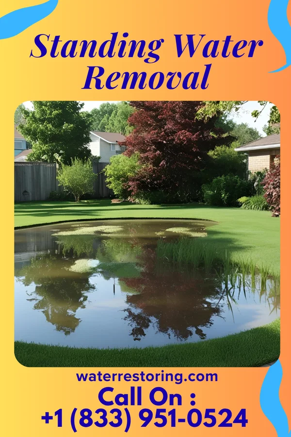 Standing Water Removal in Martin, SD